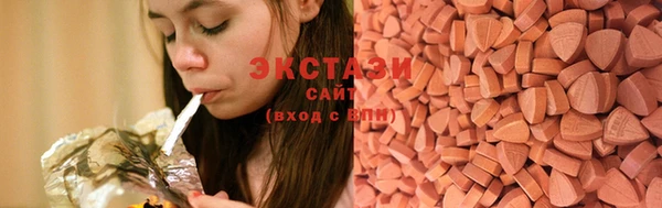 индика Киреевск