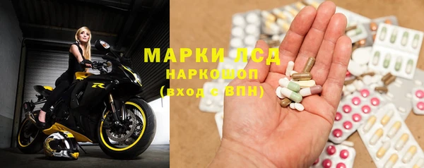 стафф Касимов