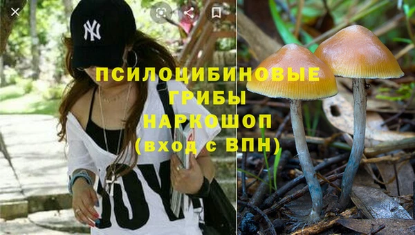 спайс Карпинск