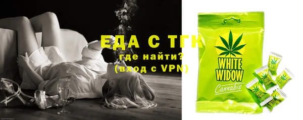 стафф Касимов