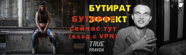 индика Киреевск