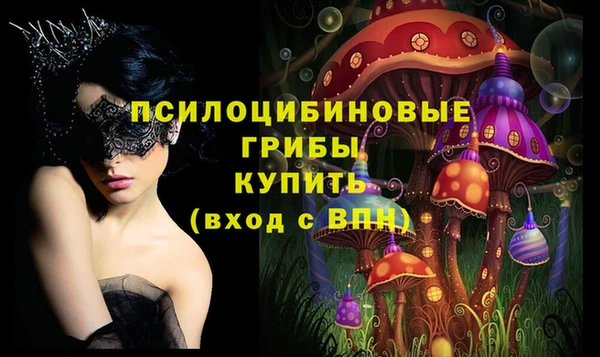 спайс Карпинск