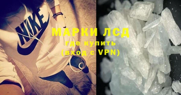 стафф Касимов